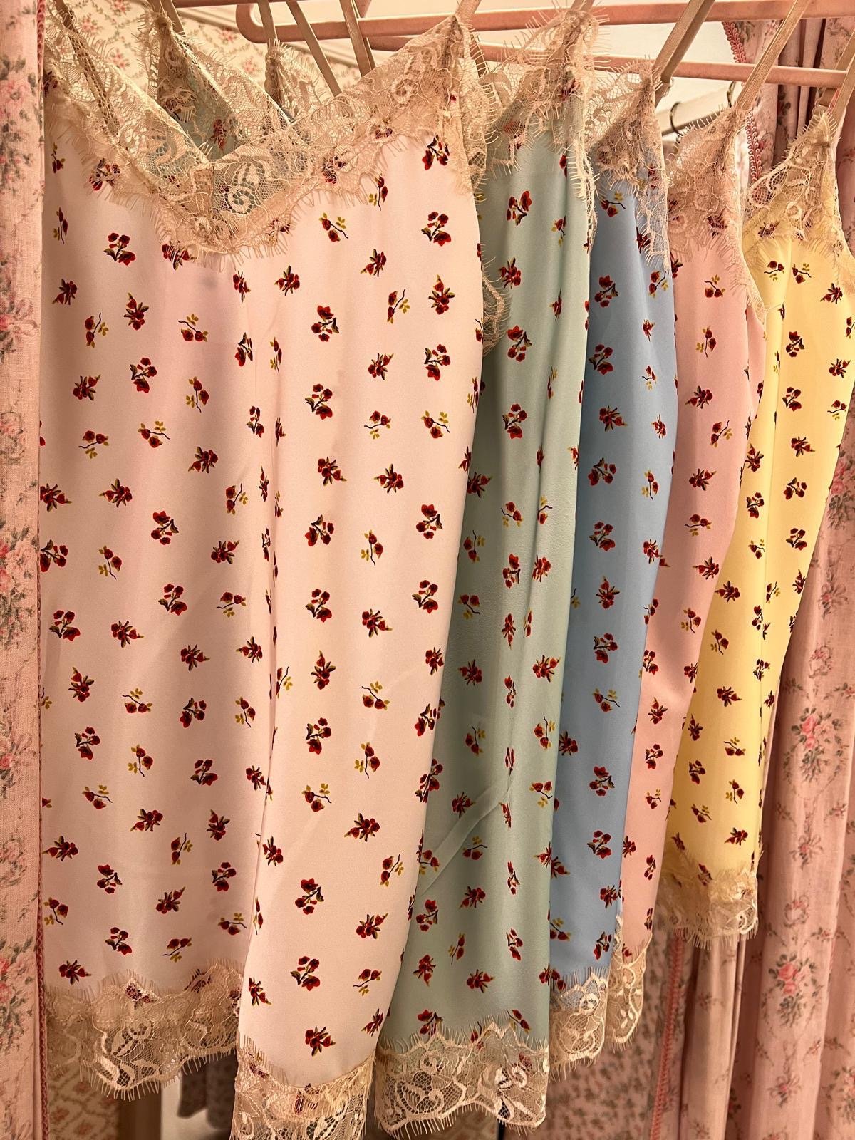 Top Molly - Carlo Deni