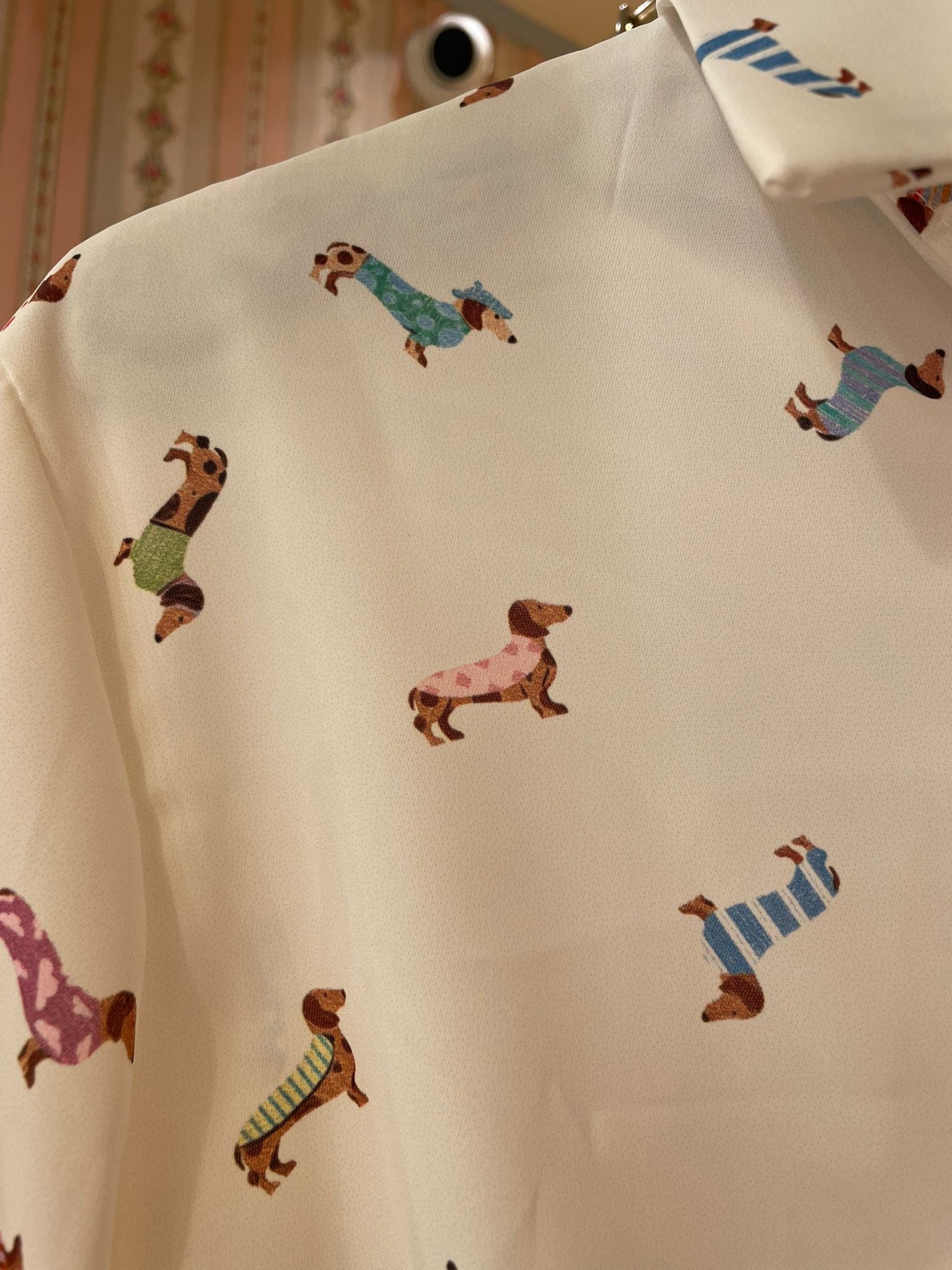 Blusa Puppy - Carlo Deni