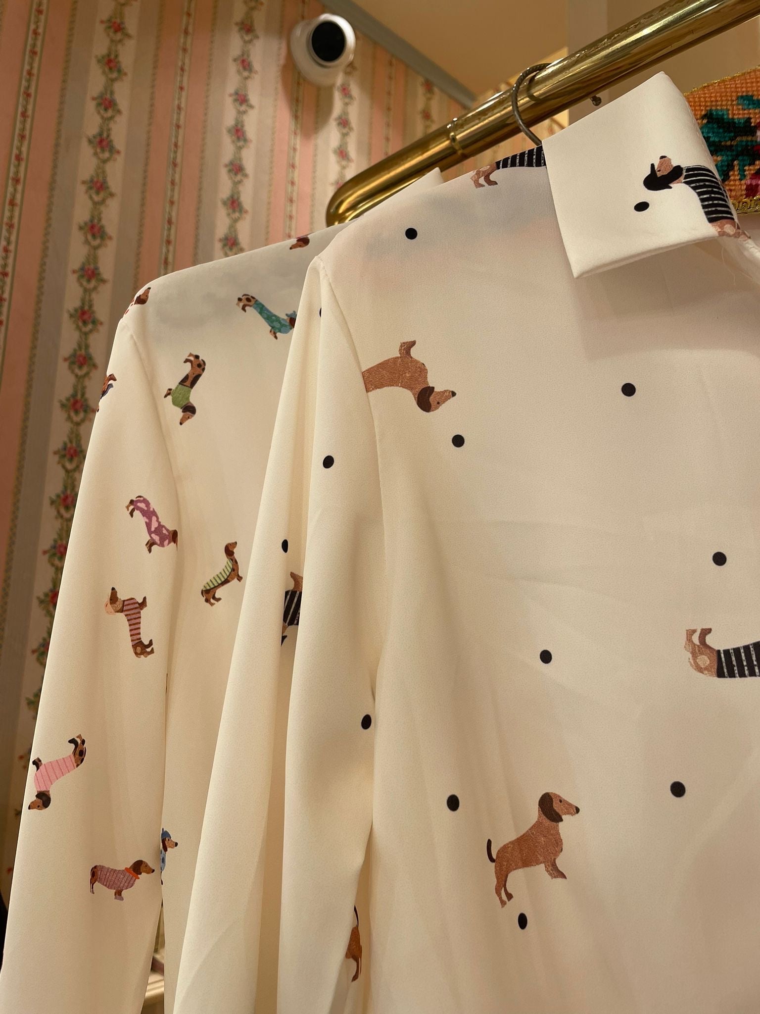 Blusa Puppy - Carlo Deni