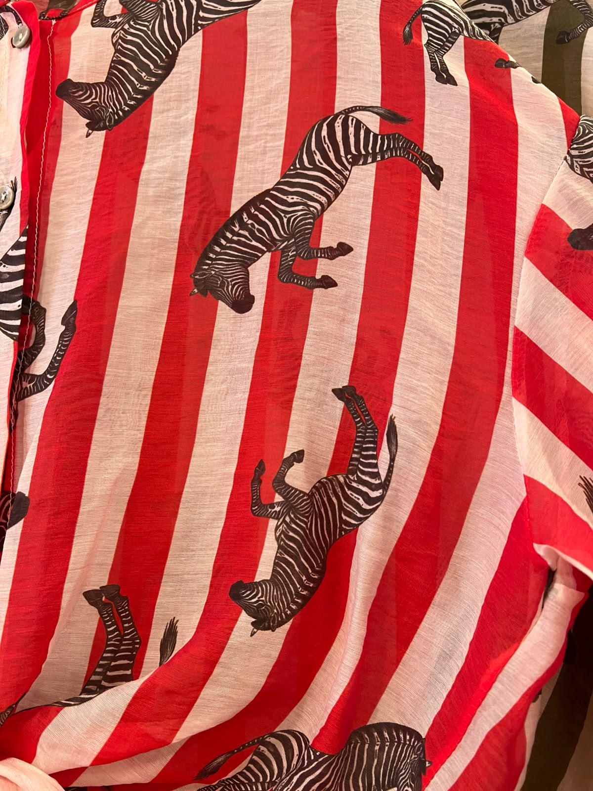 Blusa Zebra - Carlo Deni